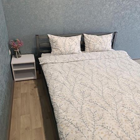 Две Уютные Квартиры В Центре Города Дзержинка - New Apartments Kryvy Rih Buitenkant foto