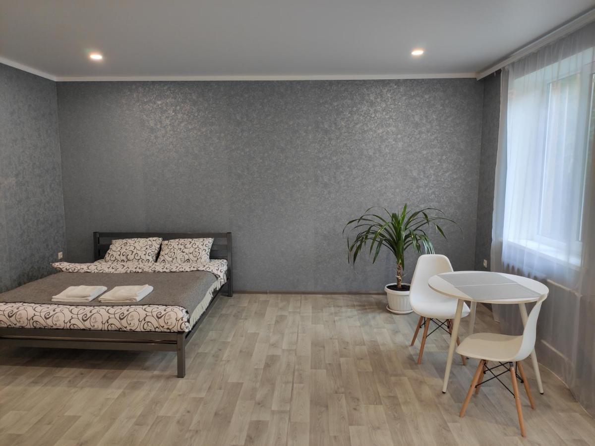 Две Уютные Квартиры В Центре Города Дзержинка - New Apartments Kryvy Rih Buitenkant foto